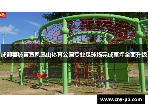 成都蓉城官宣凤凰山体育公园专业足球场完成草坪全面升级 成都蓉城官宣凤凰山体育公园专业足球场完成草坪全面升级